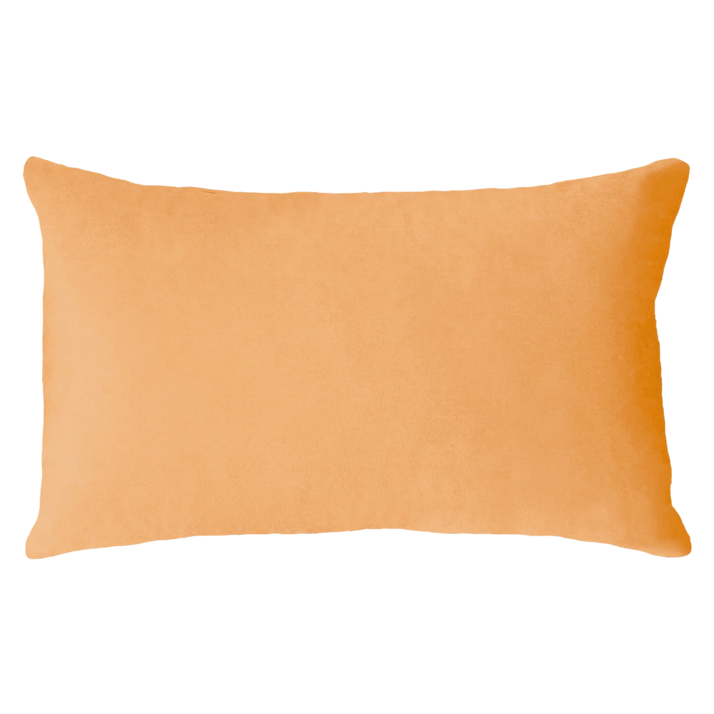 Scorpio Season Needlepoint Cushion