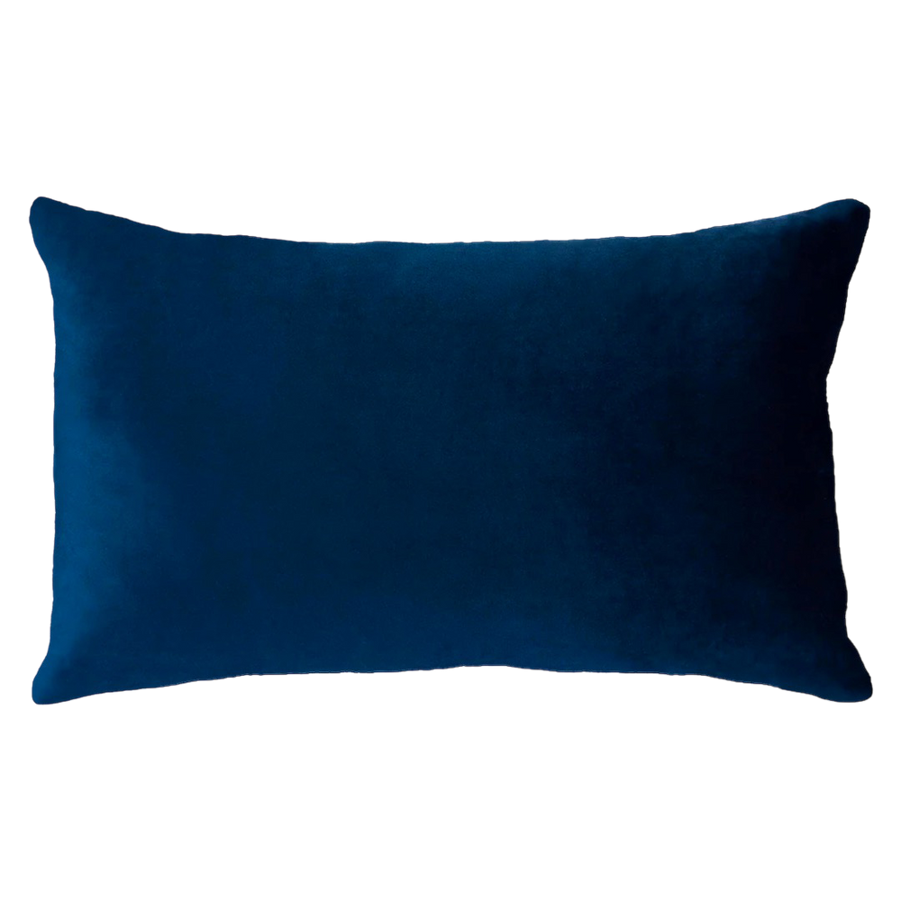 Netflix & Chill Needlepoint Cushion