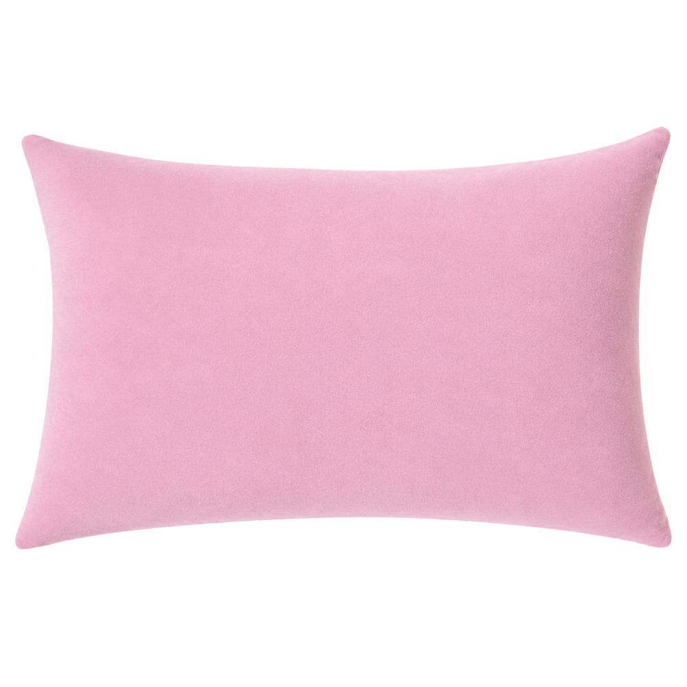 PREORDER Slogan Needlepoint Pillow - Hot Girls Drink Matcha (expected mid/late July)