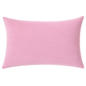 PREORDER Slogan Needlepoint Pillow - Hot Girls Drink Matcha (expected mid/late July)