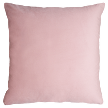 Load image into Gallery viewer, Paris Needlepoint Cushion