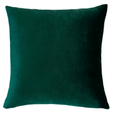 Load image into Gallery viewer, Amalfi Needlepoint Cushion
